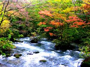 Hotel Mori No Kaze Oshuku image