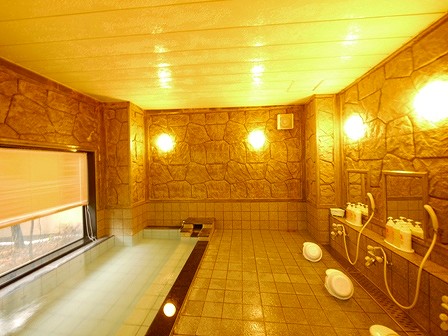 HOTEL ROUTE-INN ITOIGAWA image